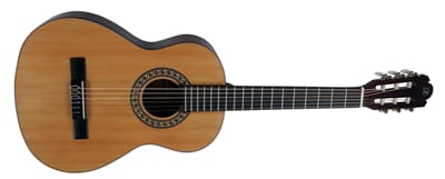 220923 MORGAN CG 11 3 4 DLX N matt - Akustisk gitar.jpg