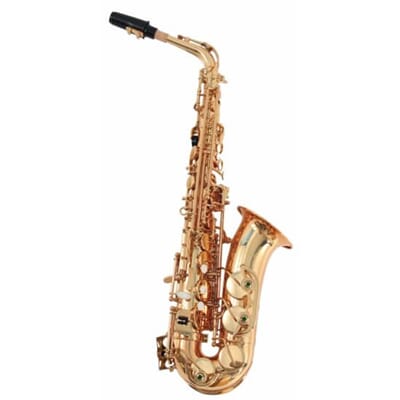 582110208239 Soundsation SALSX-20. Alt-saxofon med etui.jpg