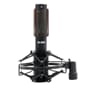130412_Rel North Microphone GNR 5 2.jpg
