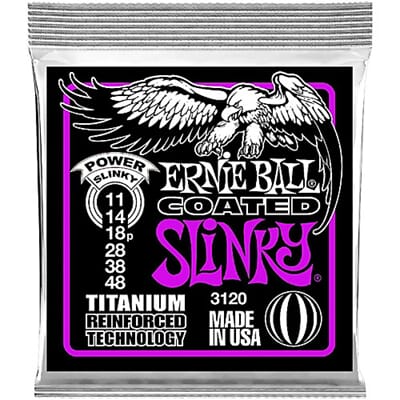 1103120 11 ernie ball.jpg