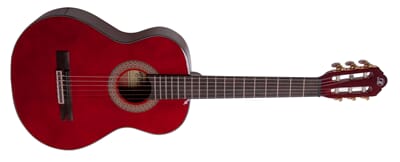 230044 MORGAN CG 10 DLX WR - Akustisk gitar.jpg