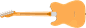 0149192350 2 (1).png