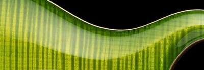 1640005 PRS Special Semi-Hollow, Eriza Verde - elektrisk gitar.jpg