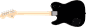 Paranormal Troublemaker 2 (1).png