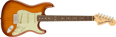 Rosewood Fingerboard, Honey Burst 1.png