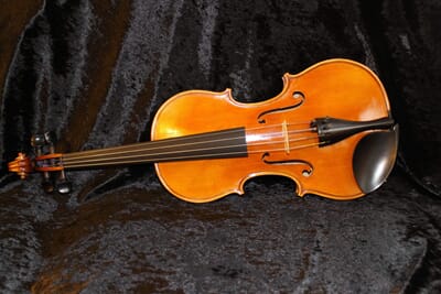 VRM Violin Rudolf Mastri 4 4 1_1.jpg