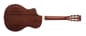 250523_Rel MORGAN DOBRO DM 39 F12 CE 2.jpg