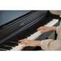 Casio AP-300BK 3 (1).jpg