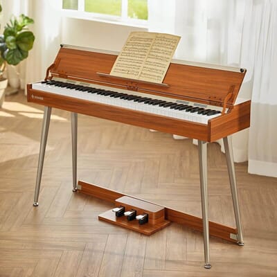 Donner DDP-80 PLUS 1 (1).jpg