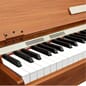 Donner DDP-80 PLUS 2 (1).jpg