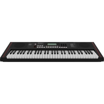 Roland E-X10 Keyboard 1 (1).jpeg