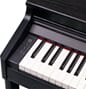 RP701-CB_Rel RP701-CB 2.jpg