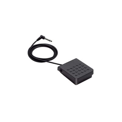 Casio SP-3 Sustain Pedal (1).jpg